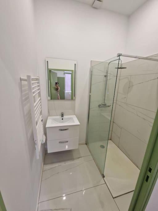 T1 Bis 1 Chambre แซงต์-เอเตียน ภายนอก รูปภาพ
